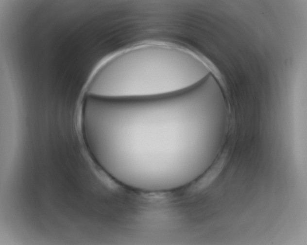 X0000114120862200910051258