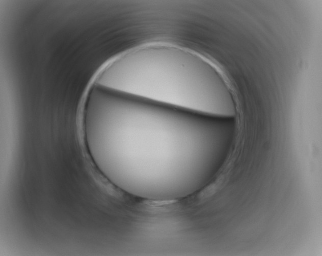 X0000114120864200910051258