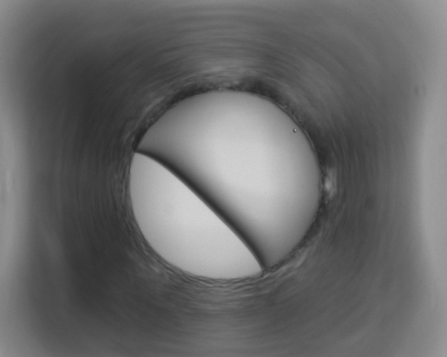 X0000114120867200910051257