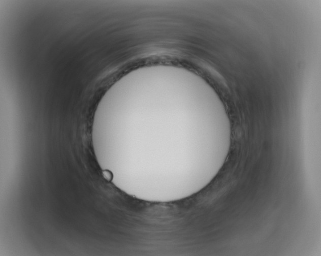 X0000114120869200910051257