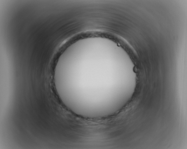 X0000114120871200910051257