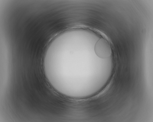 X0000114120873200910051257