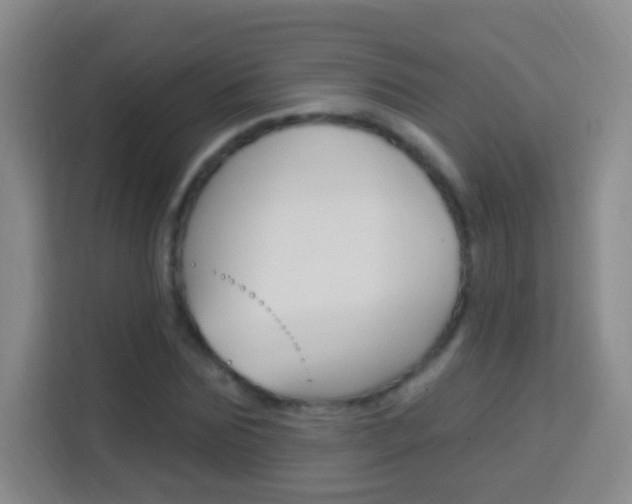 X0000114120875200910051257
