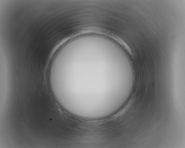 X0000114120877200910051257