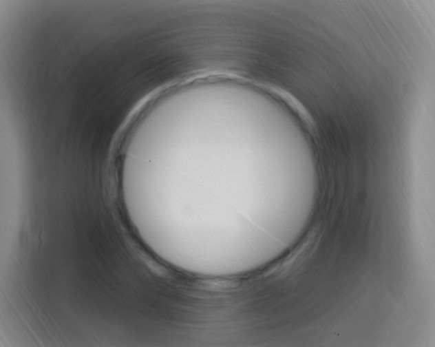 X0000114120878200910051257