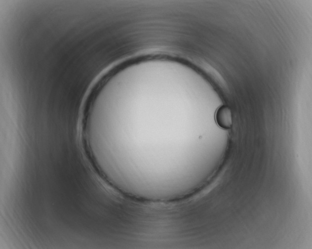 X0000114120880200910051257