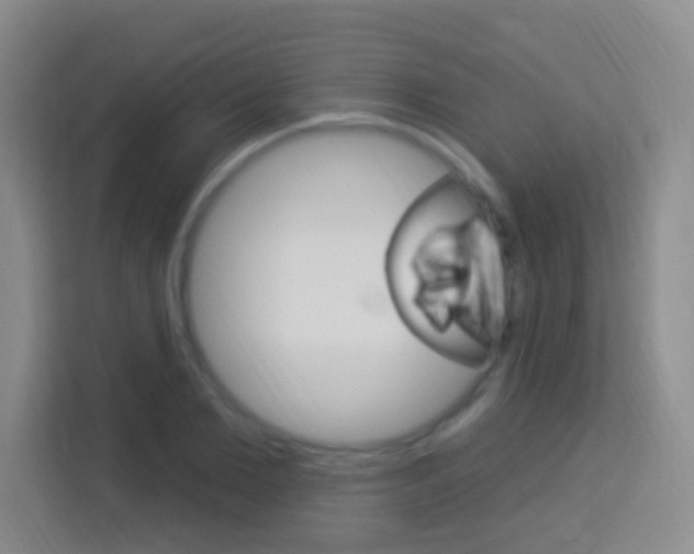 X0000114120885200910051257