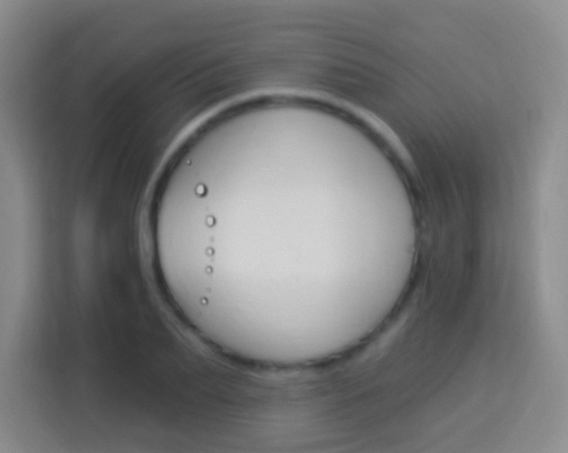 X0000114120887200910051257