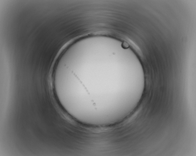X0000114120891200910051257