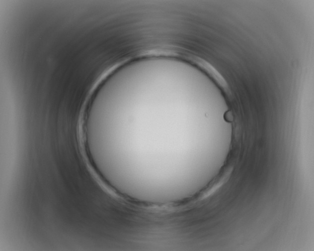 X0000114120893200910051257