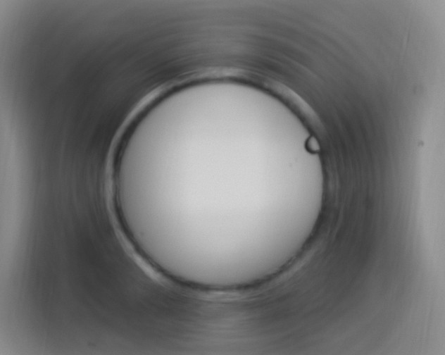 X0000114120894200910051257