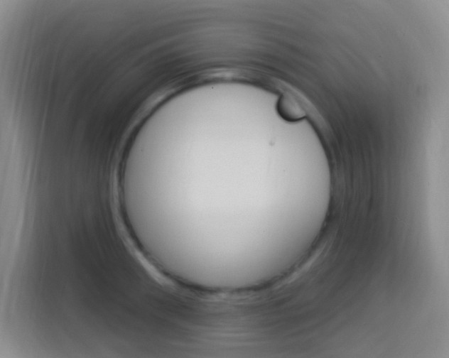 X0000114120898200910051256