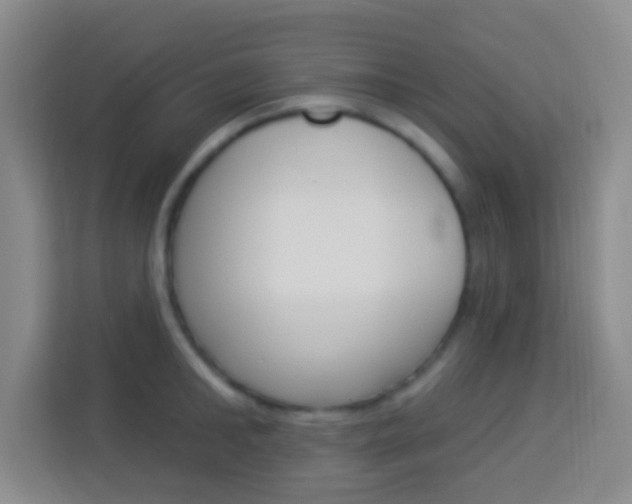 X0000114120902200910051256