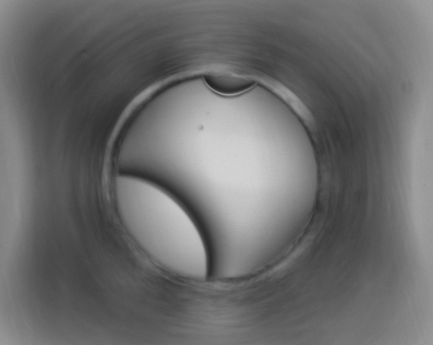 X0000114120904200910051256