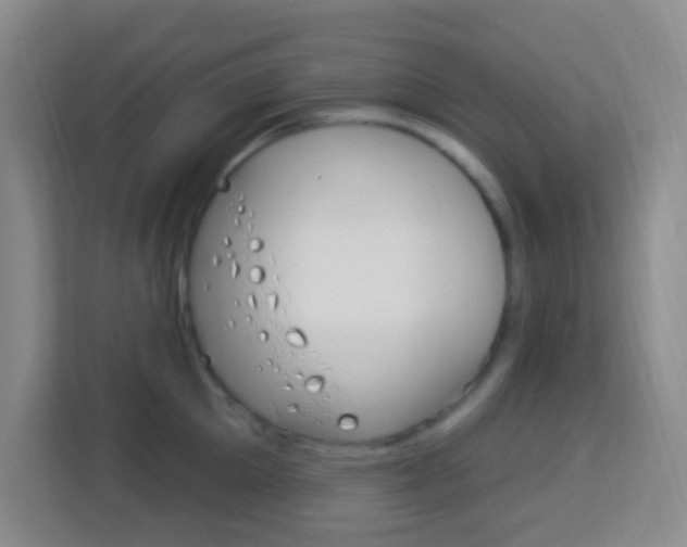 X0000114120905200910051256
