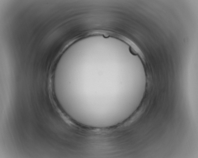 X0000114120906200910051256