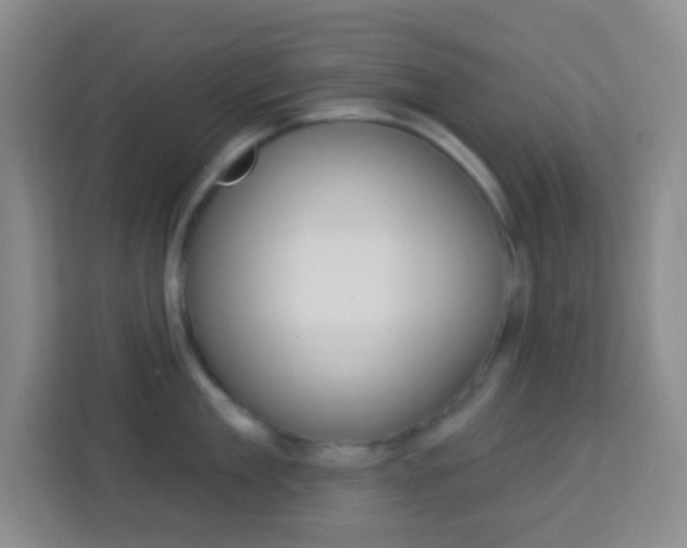 X0000114120909200910051256