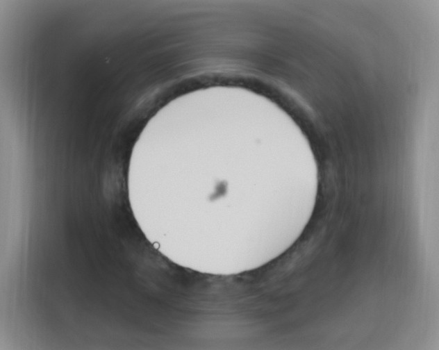 X0000114120918200910051256