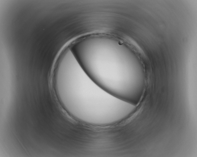 X0000114120924200910051256