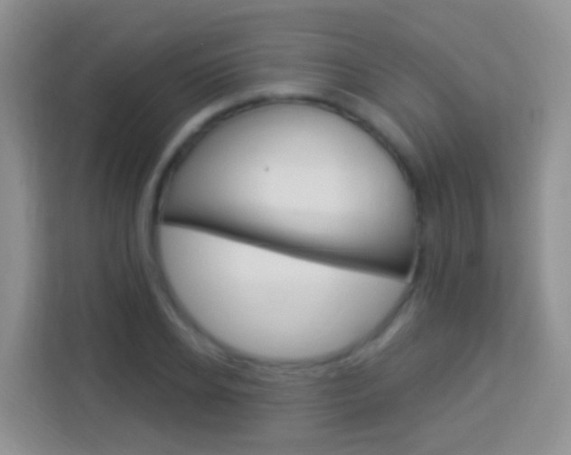 X0000114120934200910051256