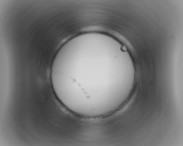 X0000114120937200910051256