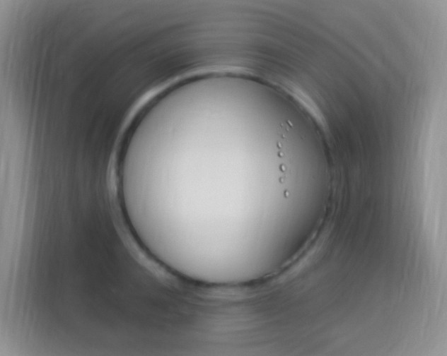 X0000114120944200910051256