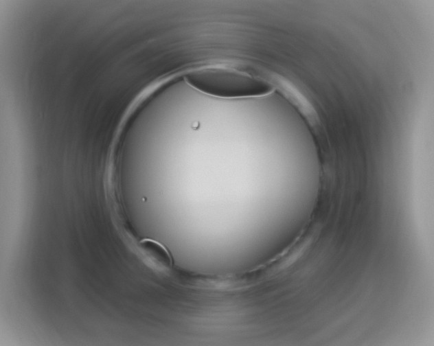 X0000114120948200910051256