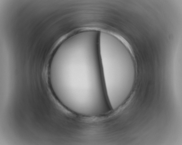 X0000114120949200910051256