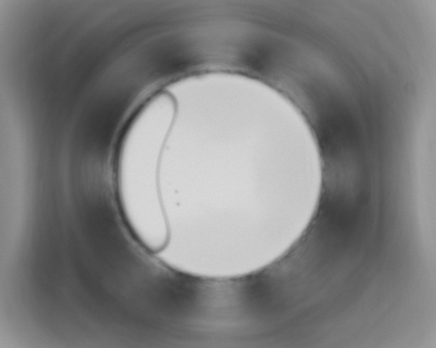 X0000114120950200910051256