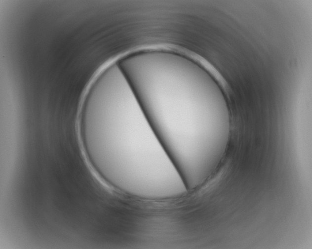 X0000114120951200910051256
