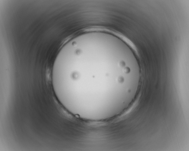 X0000114120953200910051256