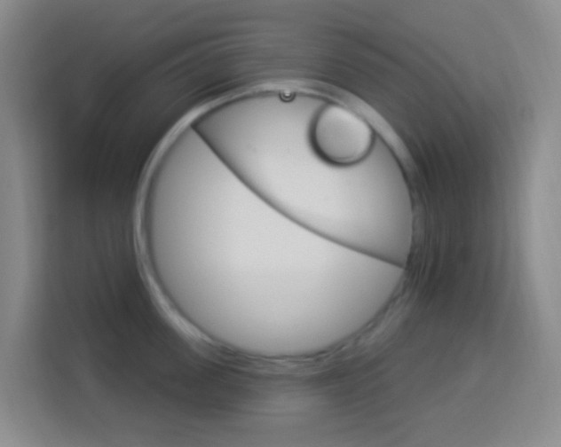 X0000114120955200910051256