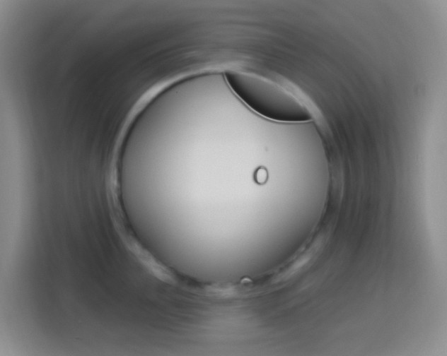X0000114120956200910051256