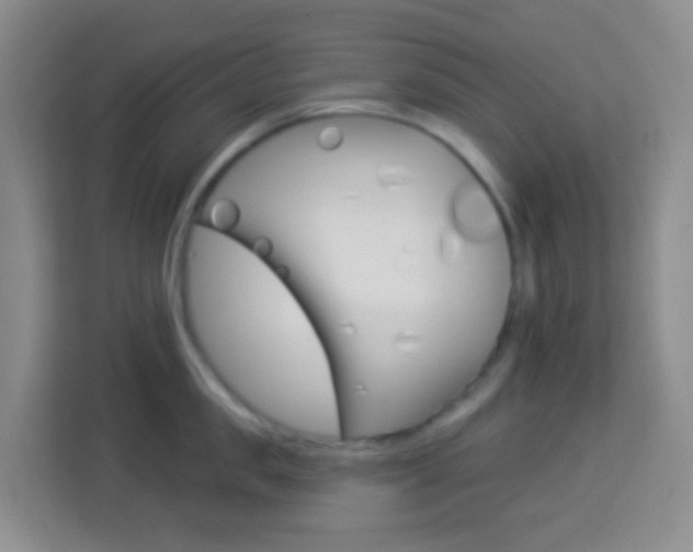 X0000114120957200910051256