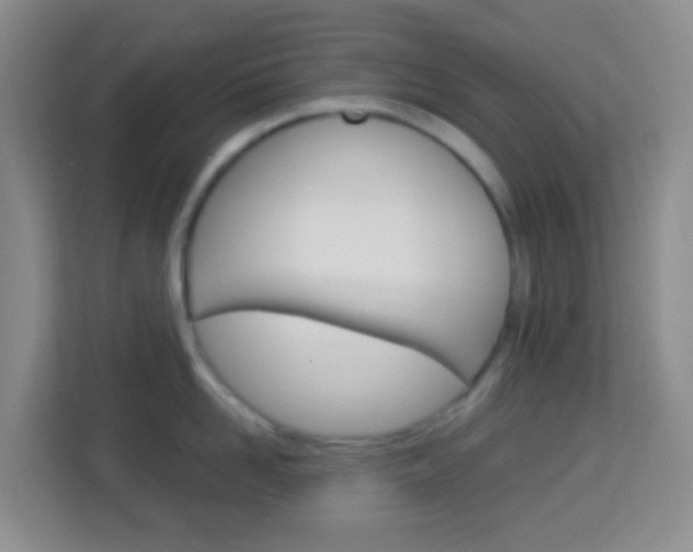 X0000114120958200910051256