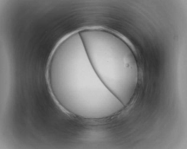 X0000114120959200910051256