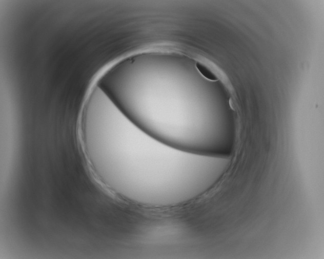X0000114120960200910051256