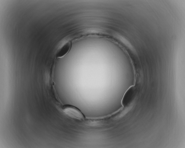 X0000114120969200910051256