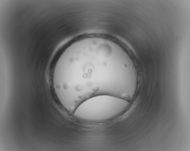 X0000114120974200910051256