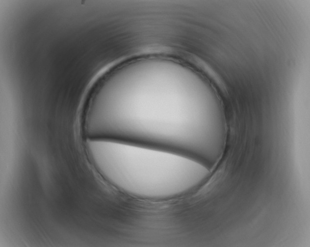 X0000114120975200910051255