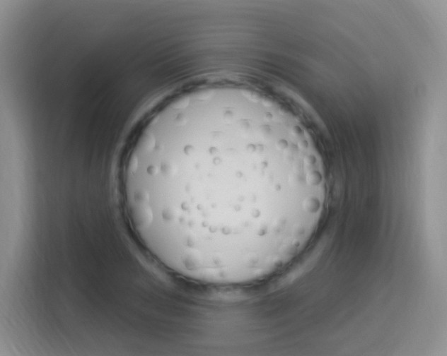 X0000114120978200910051255