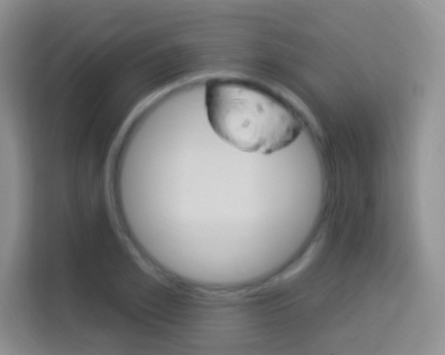 X0000114120981200910051255