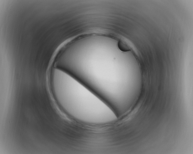 X0000114120987200910051255