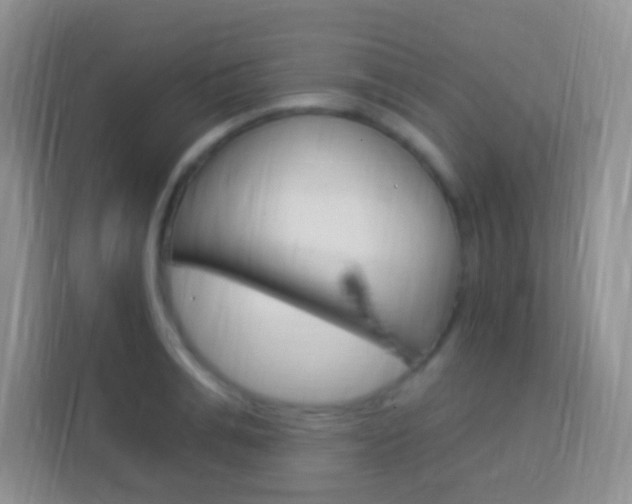 X0000114120991200910051255