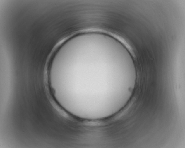 X0000114120998200910051255