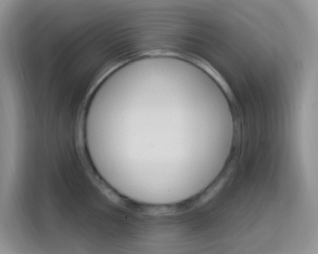 X0000114121002200910051255
