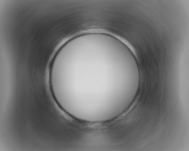 X0000114121006200910051255