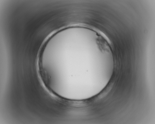 X0000114121007200910051255