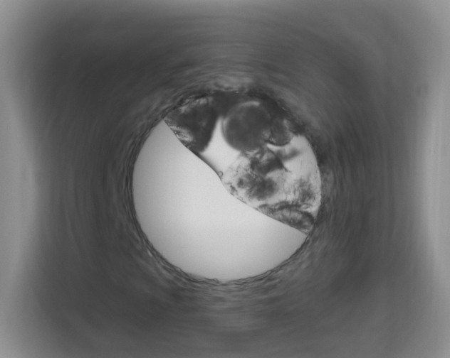X0000114121009200910051254