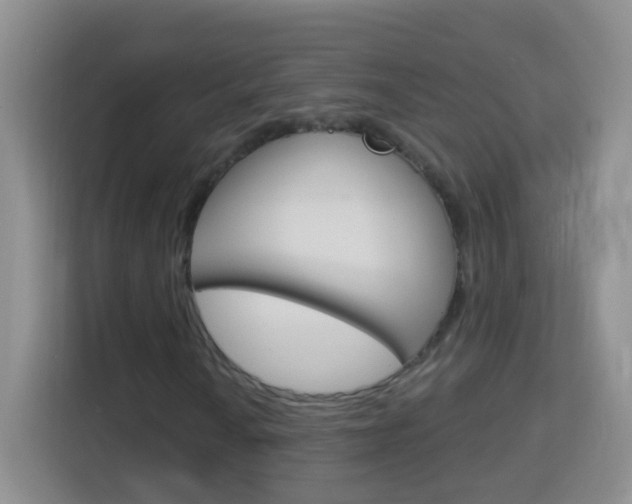 X0000114121010200910051254